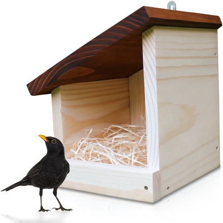 Amsel Nisthaus